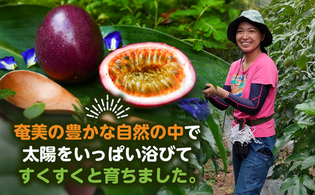 【2026年先行予約】奄美パッションフルーツ 訳あり品 2kg（30個前後） A135-005 パッションフルーツ フルーツ 果物 南国 デザート 訳あり わけあり 期間限定 限定 自然 美味しい カクテル ヨーグルト サラダ 鹿児島県 orietty's farm ふるさと納税 奄美市 おすすめ ランキング プレゼント ギフト
