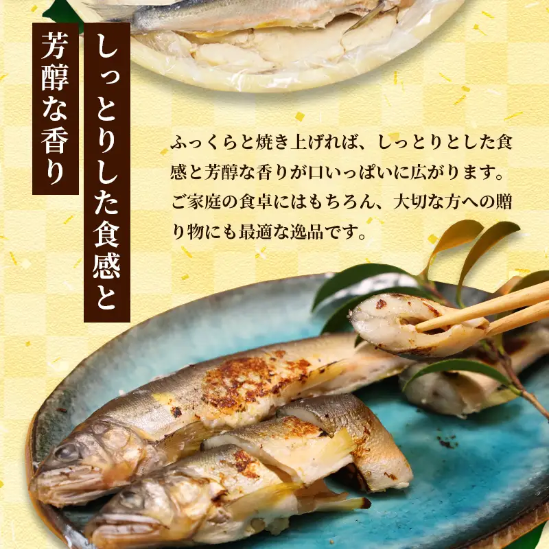 天然鮎の粕漬け 12匹 あゆ 鮎 粕漬け