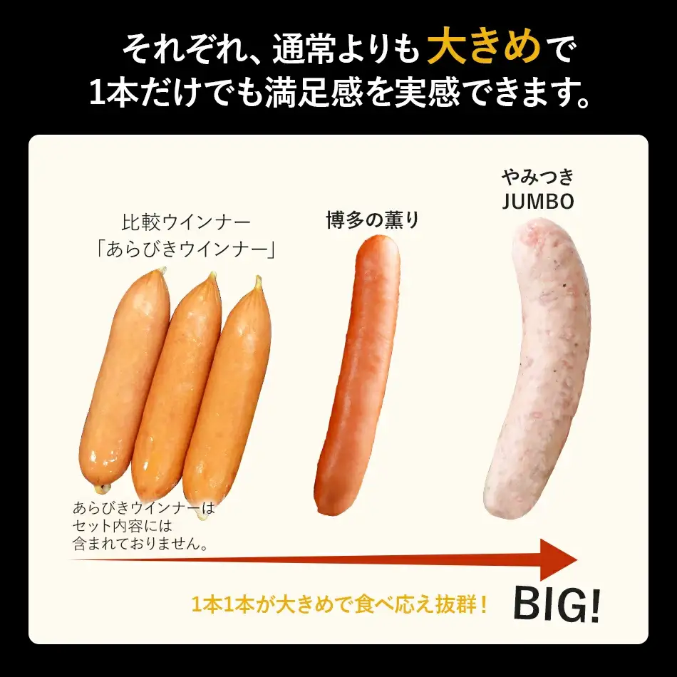 訳あり！特盛！ソーセージ食べ比べまんぷく福袋 合計2.5kg！ おかず 惣菜 ウインナー ソーセージ 3種 大容量 粗挽き お弁当 食べ比べ 冷凍 ストック おつまみ 博多の薫り やみつきJUMBO ボロニア