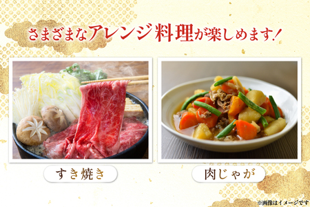 牛肉 宮崎県産 黒毛和牛 赤身 スライス 切り落とし 250g 6p 計1.5kg セット