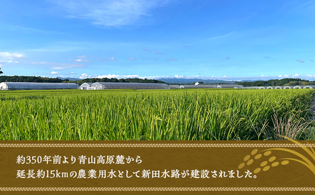 コシヒカリ 伊賀米 令和8年産 みはた 5kg コシヒカリ