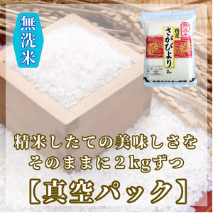 CIC32_『新米予約』令和７年産【無洗米】さがびより２㎏×２袋　※新米収穫後11月以降発送