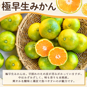 ＜先行予約受付中！2026年9月中旬以降順次発送予定＞ 極早生みかん (約5kg) 国産 みかん 極早生 早生 柑橘 果物 フルーツ デザート 果実 期間限定 数量限定 【古田果樹園】 akn093-06