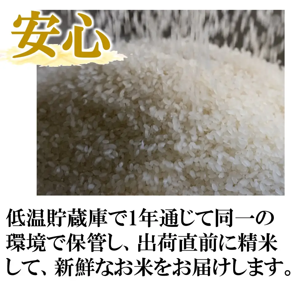 新米 コシヒカリ 5kg 白米 有機肥料 FN-Limited-PR