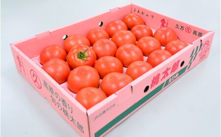 久万高原トマト 4kg 朝露に輝く 清流育ち【桃太郎トマト】久万高原町｜特別栽培 エコえひめの認証 トマト とまと トマト産地 産地直送 ソース ジュース 自然栽培 野菜 安心 安全 旬 贅沢 酸味 甘味 料理 旨み 風味豊か スープ 煮込み 新鮮 アレンジ 美味しい 人気 おすすめ 贈答 ギフト プレゼント 愛媛　※2026年7月～発送
