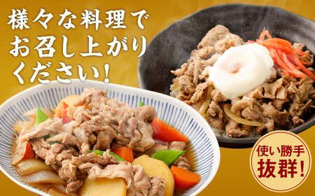 ＜宮崎県産豚こま切れ（モモ・ウデ） 250g×16パック 計4kg＞翌月末迄に順次出荷翌月末迄に順次出荷【c1460_tf】 肉 お肉 豚肉 豚小間 こま切れ モモ肉 ウデ肉 国産