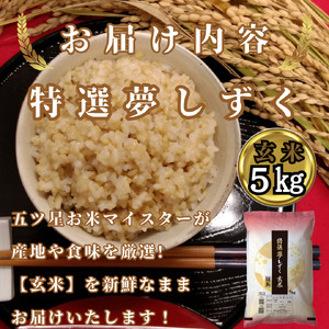CIC50_『新米予約』令和７年産　特選夢しずく【玄米】５㎏　※新米収穫後10月以降発送