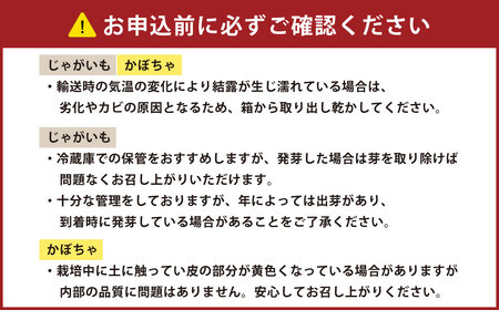 [先行受付] 北海道おとふけ産 栗カボチャ「ブラックのジョー」・じゃがいも「メークイン」の詰め合わせ【B74】《2026年10月下旬より発送開始予定》