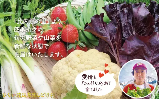 モリモリ野菜・山菜セット（5品目ほど） 75P3205【ひない渡辺農園しどけ村】