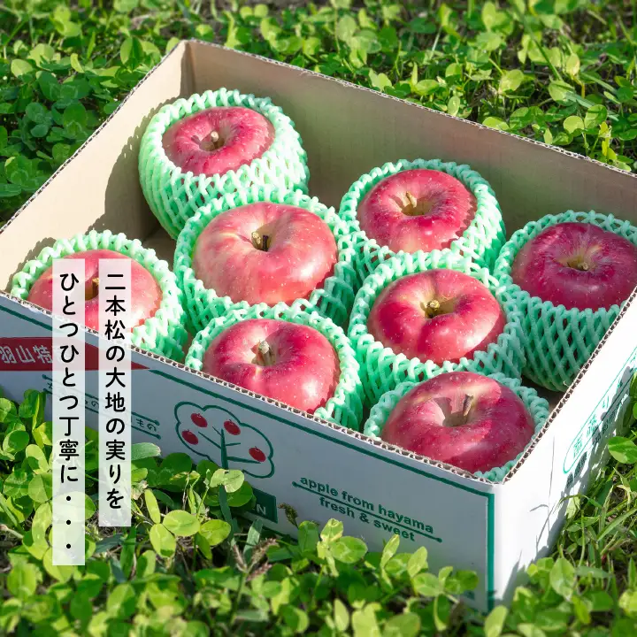 りんご 【3ヶ月定期便】品種おまかせ！羽山のりんご5kg×3回 りんご リンゴ 果物 フルーツ【斎藤りんご園】