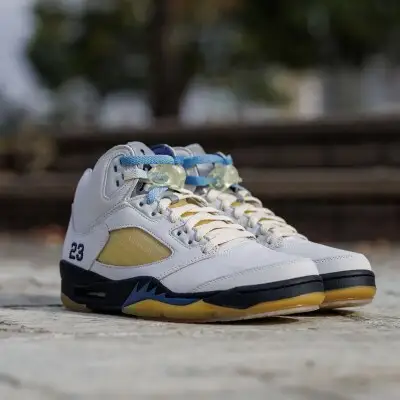 NODC【1985】 Gradation SHOELACES [173N32]
