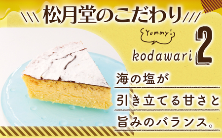 【海の塩 ベイクドチーズケーキ】 16cm /  チーズケーキ