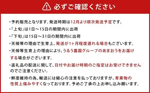 【アフター保証】贈答用 あまおう 約800g【2026年12月上旬～2027年1月下旬発送予定】 いちご イチゴ 苺 化粧箱入り