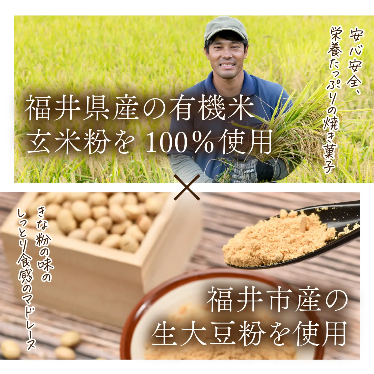 マメ・ド・レーヌ×5個入り [A-133002] / マドレーヌ スイーツ 菓子 焼き菓子 洋菓子 小麦粉不使用 米粉 大豆 福井市 送料無料