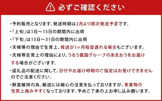 【アフター保証】贈答用 あまおう 約800g【2027年2月上旬～2027年4月上旬発送予定】 いちご イチゴ 苺 化粧箱入り