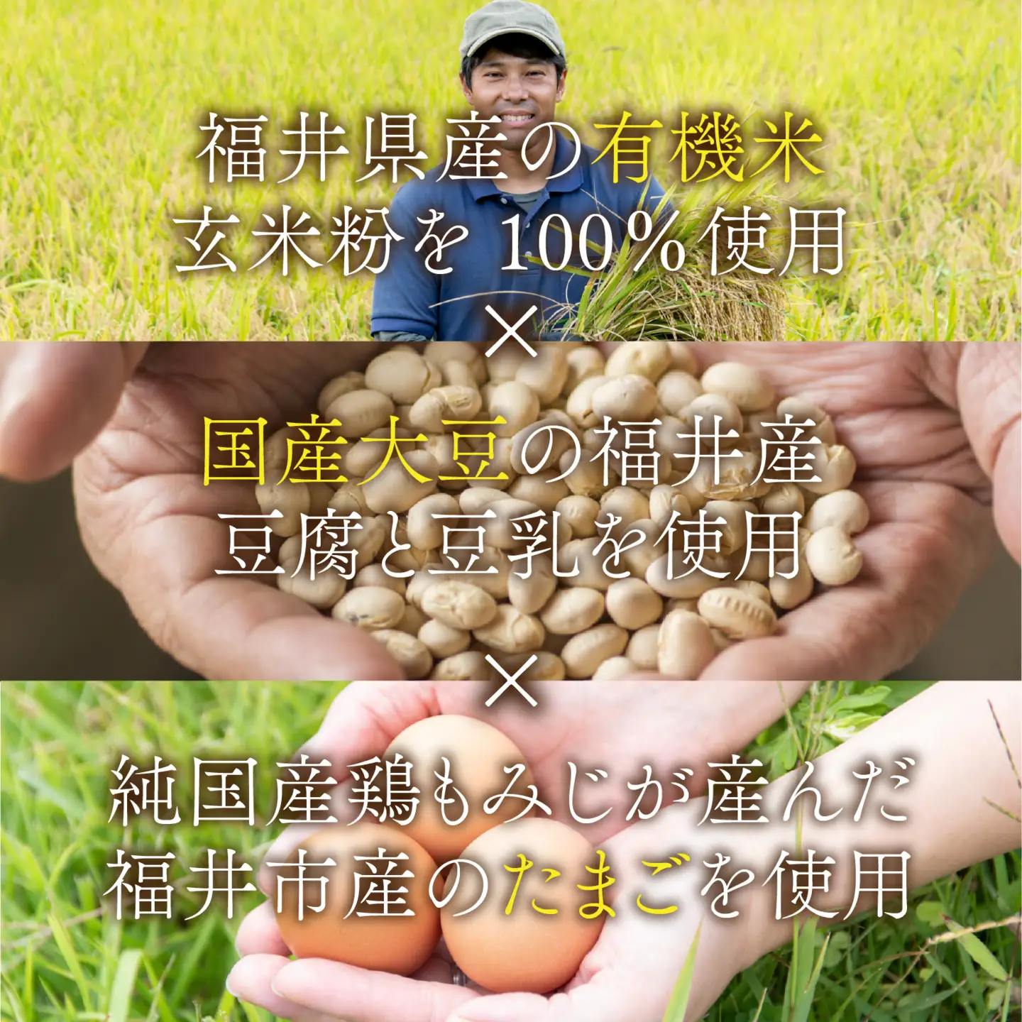 米粉と豆腐のブラウニーセット [A-133003] / ブラウニー スイーツ 菓子 焼き菓子 洋菓子 小麦粉不使用 米粉 大豆 福井市 送料無料