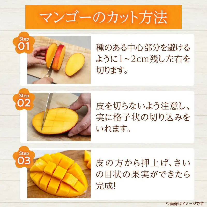 先行予約 宮崎県産 完熟マンゴー 2L×2玉 計700g以上 フルーツ スイーツ 果物_CA101-26