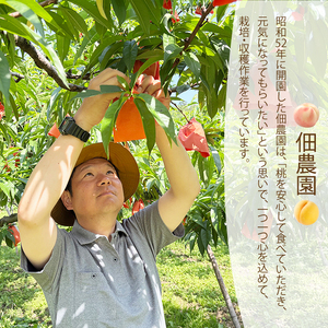 【先行受付】つくださんの桃 5～8個 約1.5kg もも モモ 果物 フルーツ 夏 広島県三原市 210002