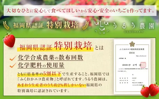 【アフター保証】あまおうサイズ色々 約570g（約285g×2パック）【2027年2月上旬～2027年3月上旬発送予定】あまおう いちご 苺 イチゴ フルーツ 果物