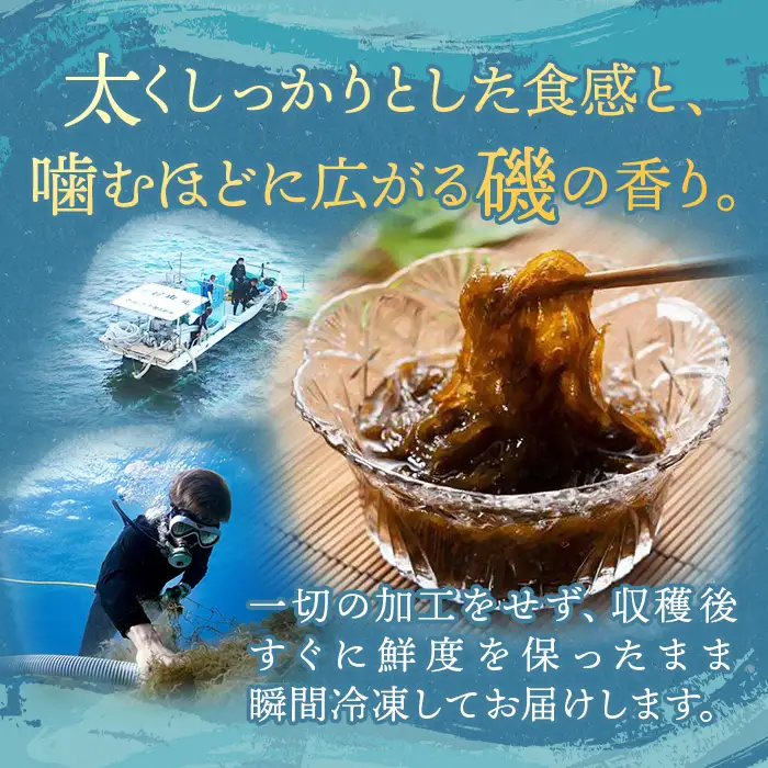 生もずく10個セット【もずく麺屋んつばた】(MJ03)