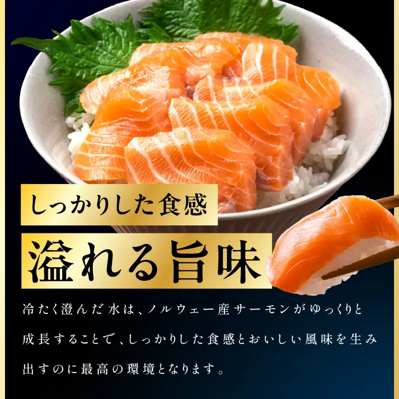 極上サーモン 1kg サーモン ふるなび限定 FN-Limited-PR