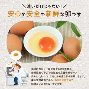 【TVで話題沸騰！】10か月定期便！とにかく黄身が濃いたまご「マキシマムこいたまご」30個入り 伊達市 福島県 国産 MS～LLサイズ 卵 たまご 玉子 生卵 鶏卵 F21C-489