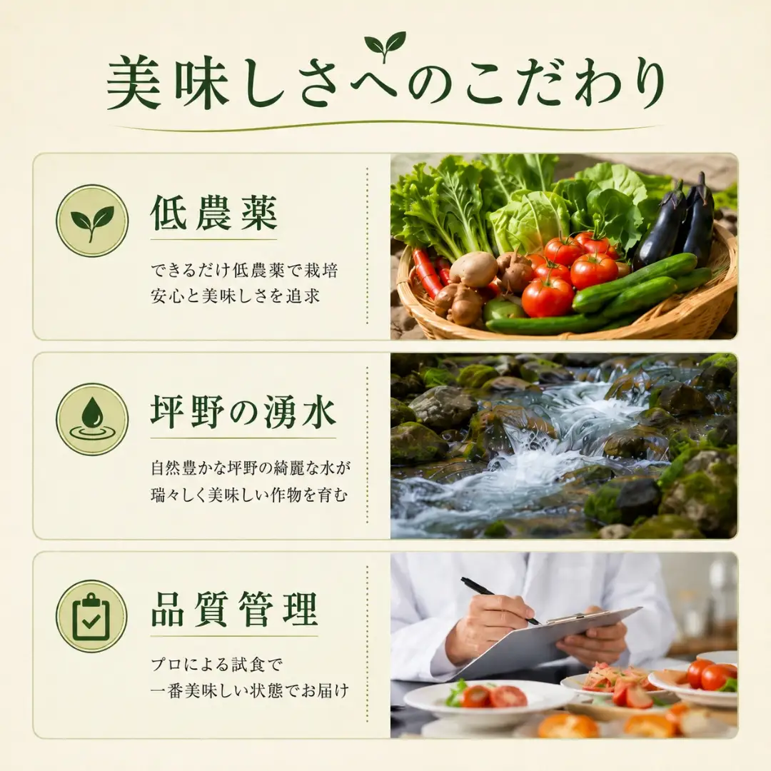 メロン オルフェ 2玉 農園ビギン 先行予約 新潟県 小千谷市 メロン