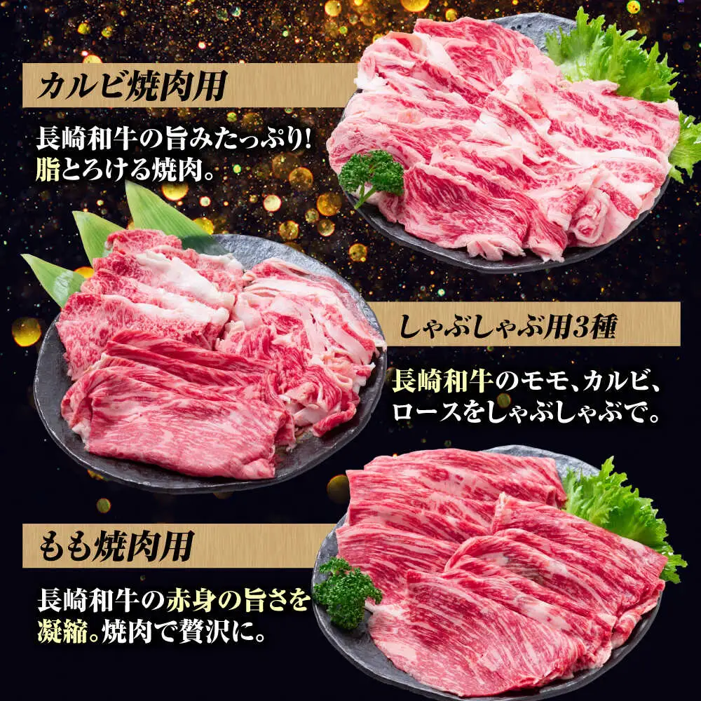 【6回定期便】長崎和牛 定期便　トライアルコース 計3.4kg お楽しみ 牛肉 バラエティ定期便 国産 / サーロイン カルビ ロース しゃぶしゃぶ 牛ミンチ リブロース / 南島原市 / 水田精肉店[SDZ042]