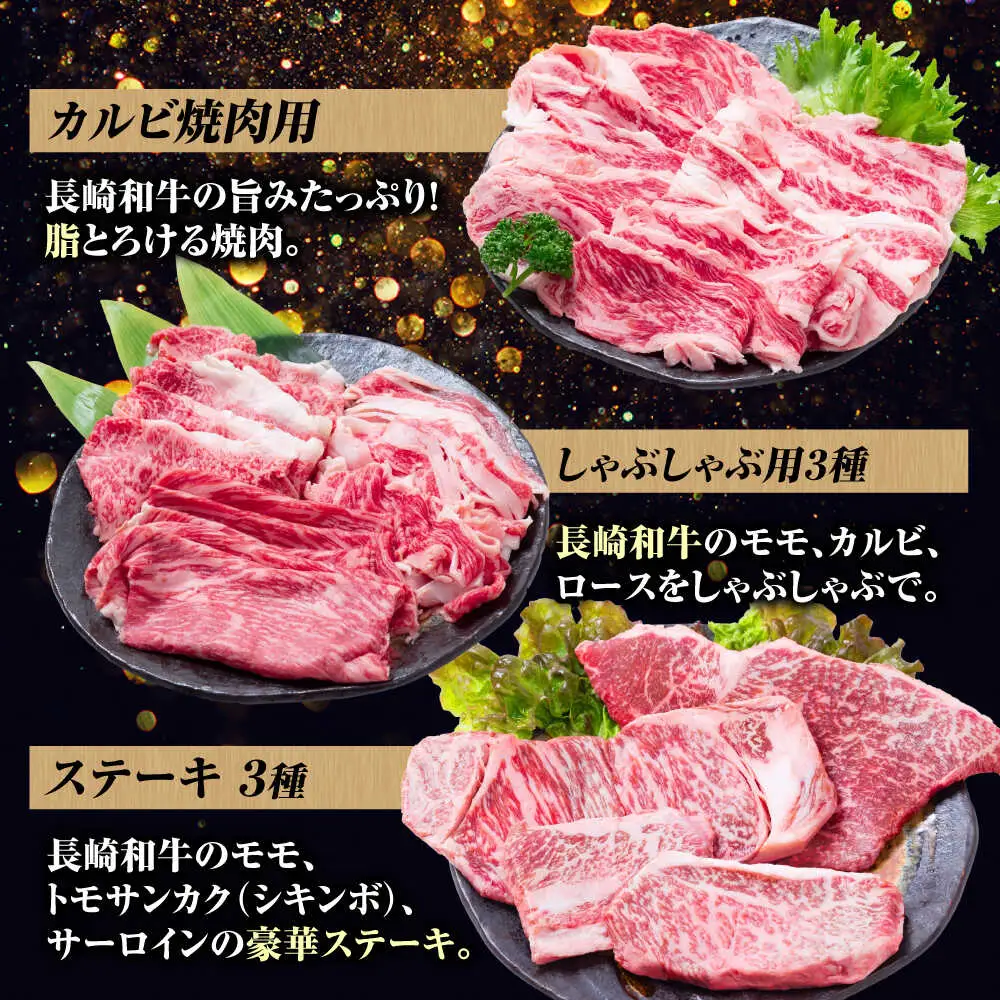 【12回定期便】長崎和牛 定期便 スタンダードコース 計7kg お楽しみ 牛肉 バラエティ定期便 国産 / ヒレ トモサンカク もも 焼き肉 すき焼き カルビ サーロイン 牛ミンチ ロース しゃぶしゃぶ リブロース / 南島原市 / 水田精肉店[SDZ043]