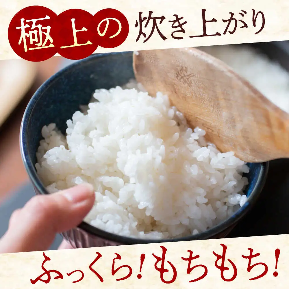 米 令和7年産 にこまる10kg [BAFU001] 米