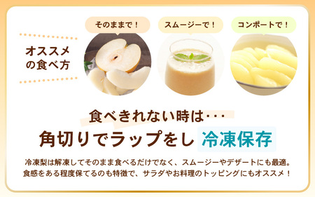 【先行予約】 豊水梨 1箱 5kg入り (8～12玉)【2026年9月上旬以降順次発送予定】 梨 なし [B-16205]
