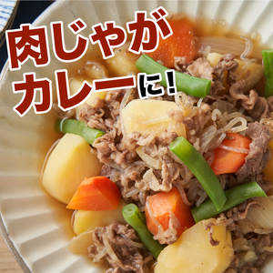 【3回定期便】宮崎県産 黒毛和牛 贅沢切落し1kg(500ｇ×2P×3回)_K16_T014_1
