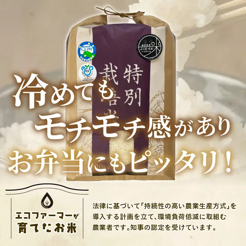 【令和7年産】化学肥料不使用 特別栽培米 ふくむすめ 精米 10kg × 1袋 / 白米 米 福井県あわら市産 美味しい 特別栽培米 減農薬 安心な米 旨味 甘み もっちり 冷蔵保管米 [aw010-a060]