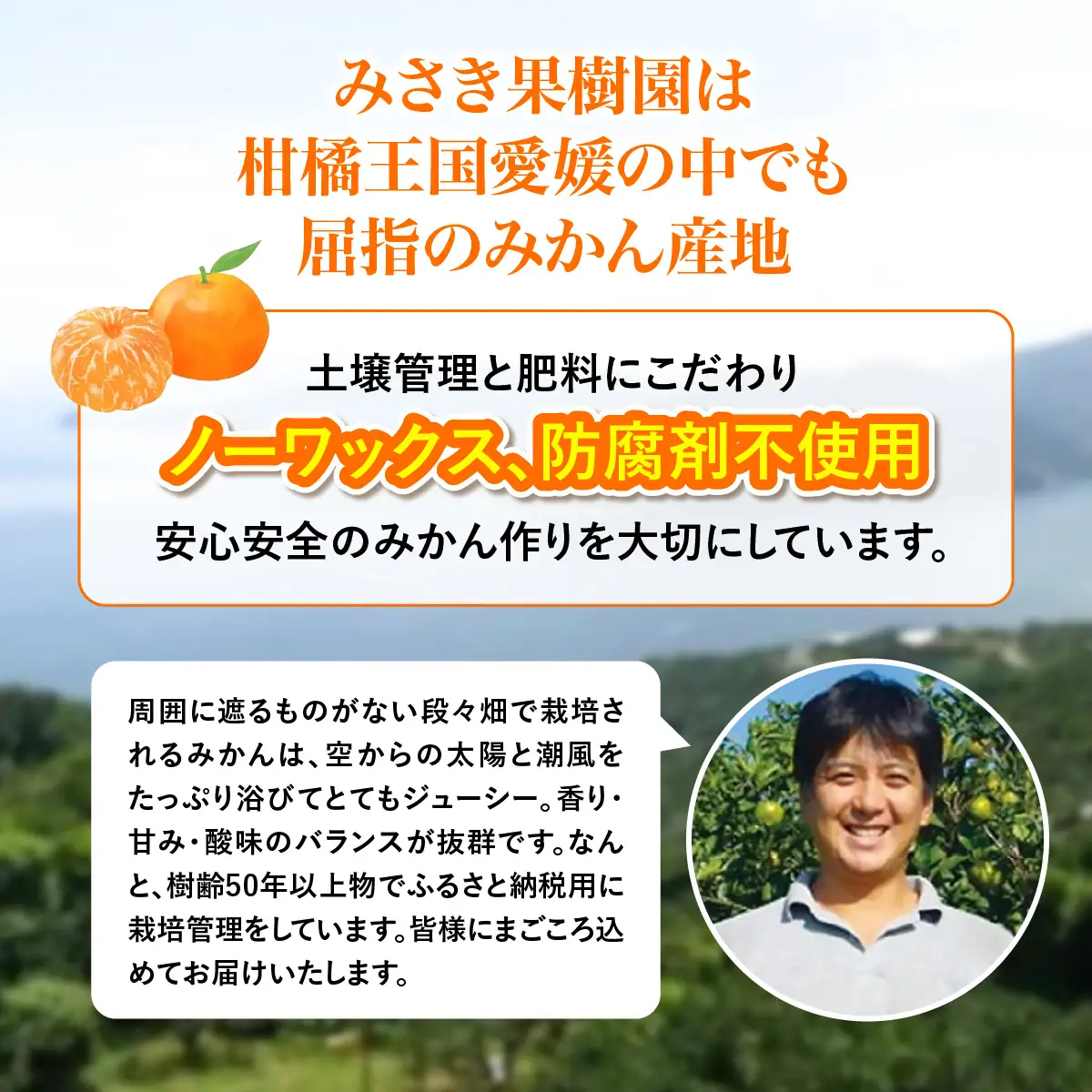 【先行予約】【秀品】えひめ西宇和みかん 8kg（大玉）※離島への配送不可（2026年11月上旬頃より順次発送予定） IKTAR002