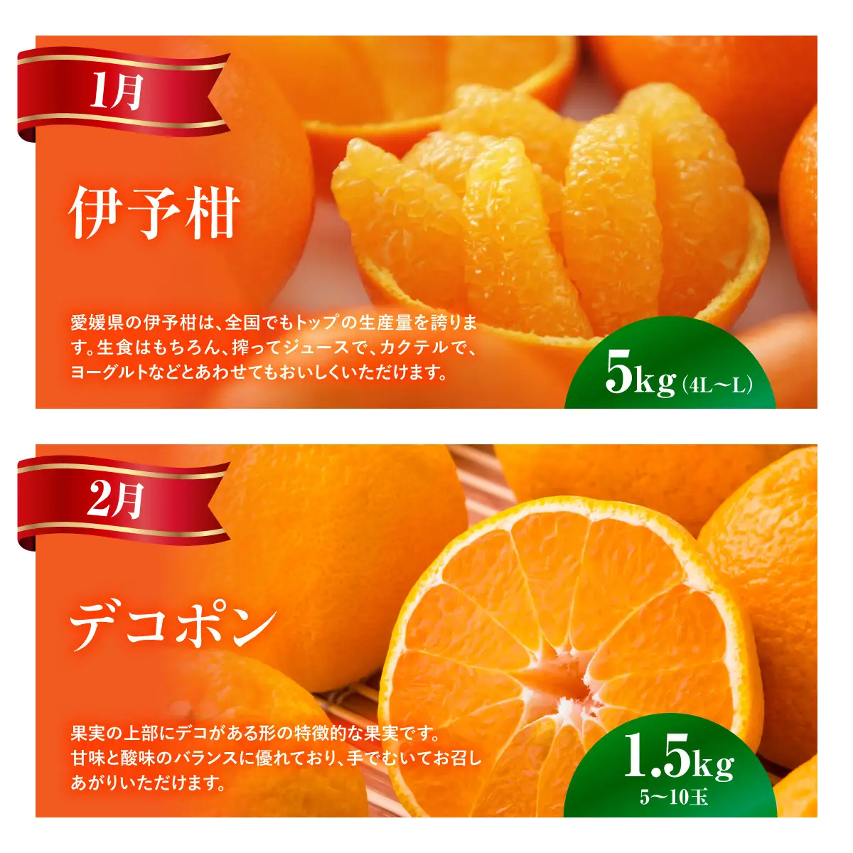 【愛媛県共通返礼品】【定期便】愛媛の柑橘定期便（全6回）（日の丸みかん・紅まどんな・いよかん・デコポン・せとか・河内晩柑） ※2026年11月～2027年4月に毎月1回発送予定  IKTAX018
