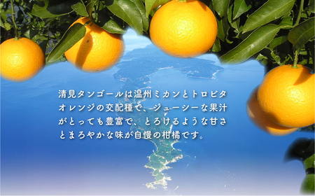 【先行予約】清見タンゴールジュース （720ml×3本）※離島への配送不可（2027年6月上旬より順次発送予定）IKTBD001
