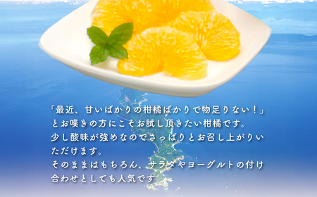【先行予約】サンフルーツ（生果5kg）※離島への配送不可（2027年2月上旬～3月上旬頃より順次発送） IKTBD013