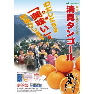 【先行予約】【家庭用】清見タンゴール 5kg ※離島への配送不可（2027年3月上旬～4月上旬頃より順次発送予定） IKTBD017
