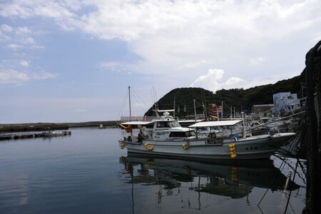 【数量限定】佐田岬海士のさざえ2kg ※北海道・東北地方・沖縄・離島への配送不可 IKTJ003