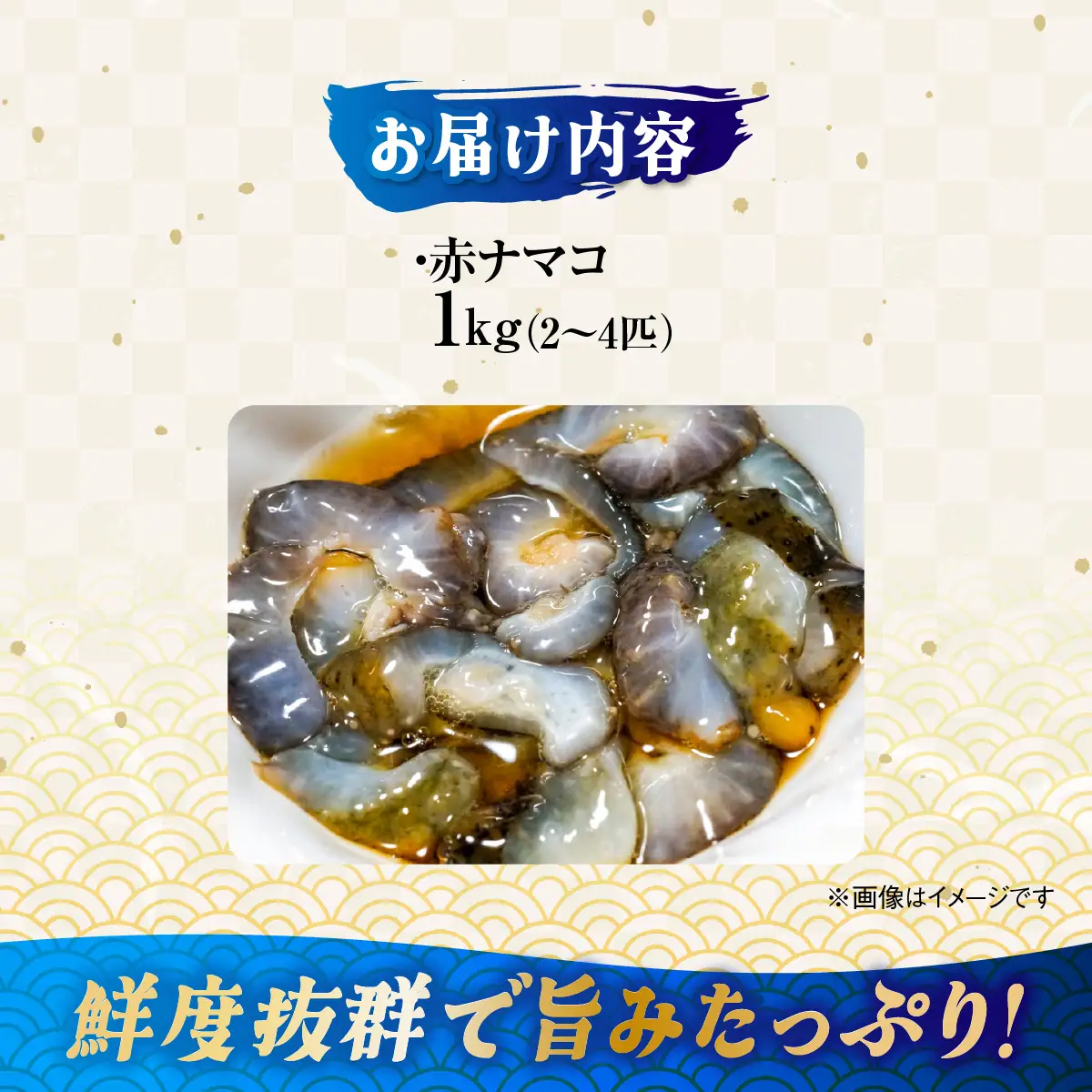 【先行予約】【数量限定】佐田岬海士の生ナマコ 約1kg（2～4匹）※北海道・東北地方・沖縄・離島への配送不可（2027年1月中旬頃より順次発送） IKTJ013