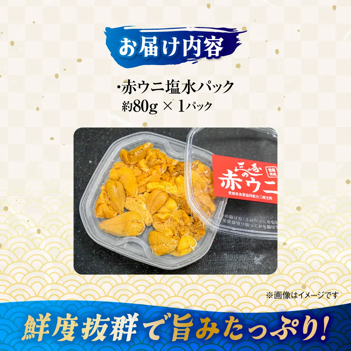 【先行予約】【数量/期間限定】三崎の赤ウニ（塩水パック） 約80g ※北海道・東北地方・沖縄・離島への配送不可（2026年8月上旬より順次発送） IKTJ017