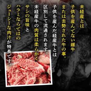 【食肉総合卸 丸正】未経産国産牛ハラミ ニンニク塩味200ｇ [153M05]