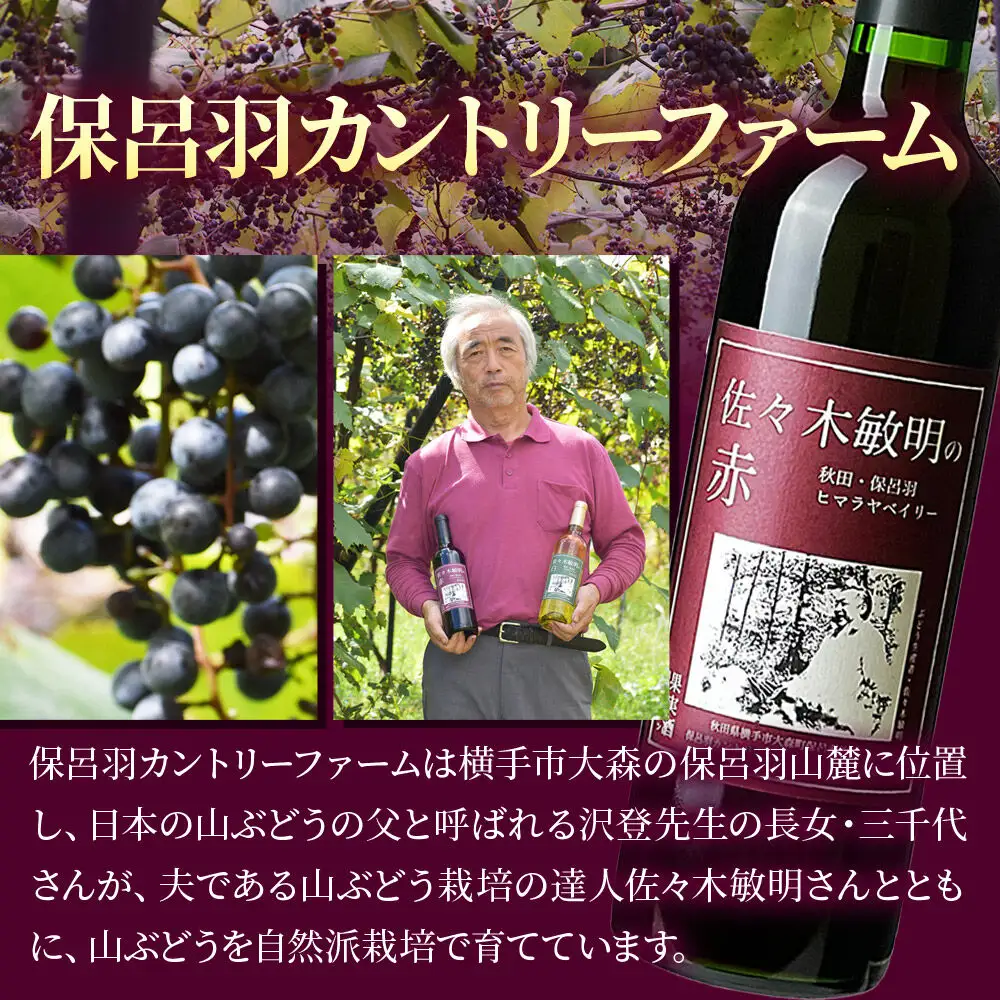 佐々木敏明の赤白飲みくらべ 秋田・保呂羽ヒマラヤベイリー ／ペガサスブラン 720ml×各1本 計2本