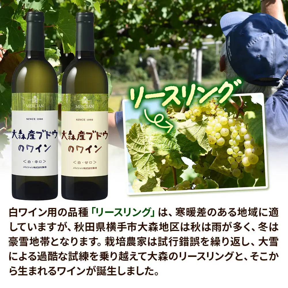 大森産ワインの甘辛飲みくらべ  750ml×各1本 計2本