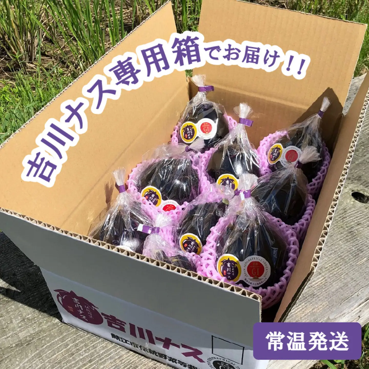 期間限定 吉川ナス 1箱（9個入）野菜 夏