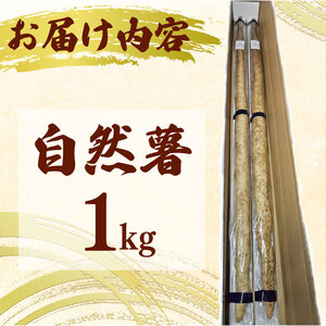 【予約受付 自然薯】 自然薯 1kg  やまあい農園 静岡県 牧之原市