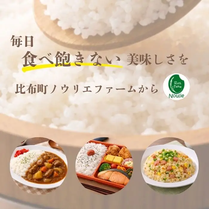 令和7年産【農業生産法人ノウリエ】北海道産 ななつぼし 玄米 20kg【11月から12月上旬発送】米 お米 北海道米 特Aランク 国産 コメ 北海道 比布町 ぴっぷ