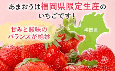 【2027年発送先行予約】あまおう2パック×3回発送定期便 (2月、3月、4月発送) 定期便 約250～270g×2パック いちご フルーツ 果物 あまおう 苺 イチゴ 福岡【発送時期2027年2月、3月、4月】