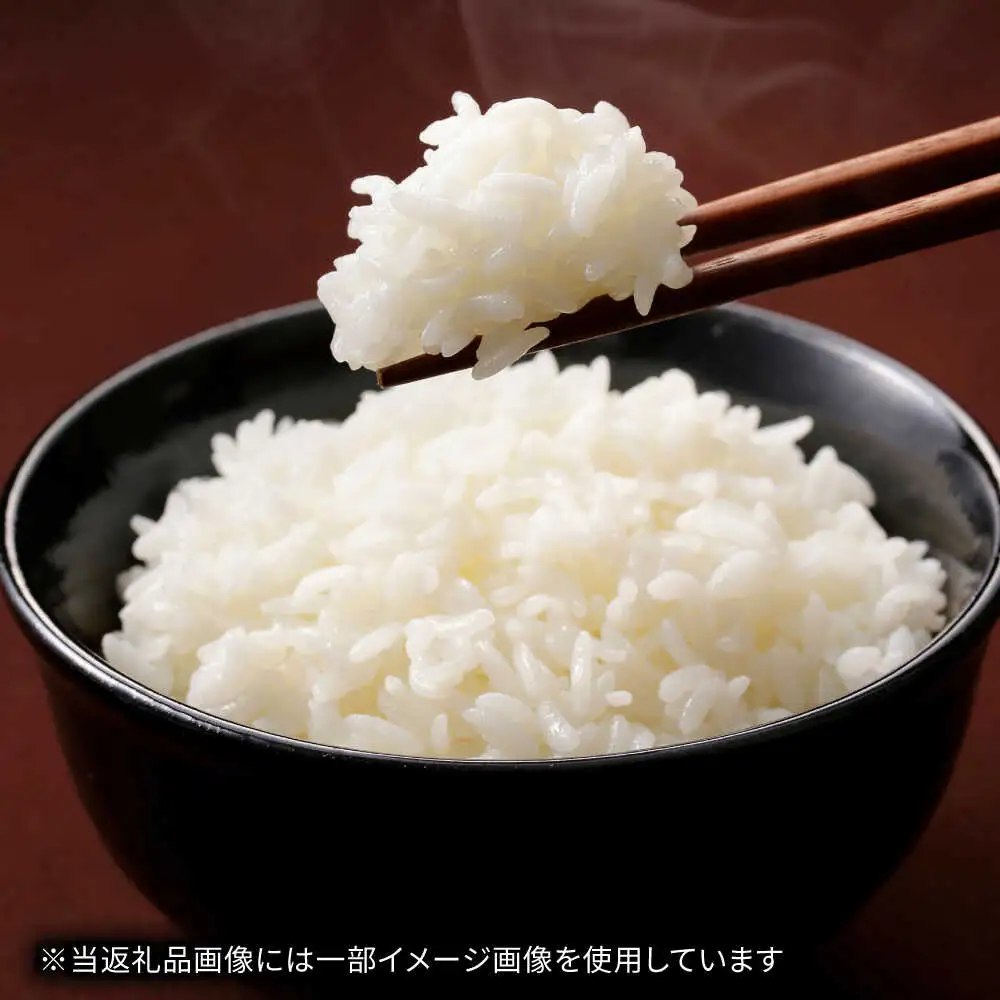【 先行予約 /8月下旬以降配送】【令和7年度産】【農家直送】 ハナエチゼン 5kg×2袋　 白米 お米 小浜市 / 永耕農産[BFBD010]