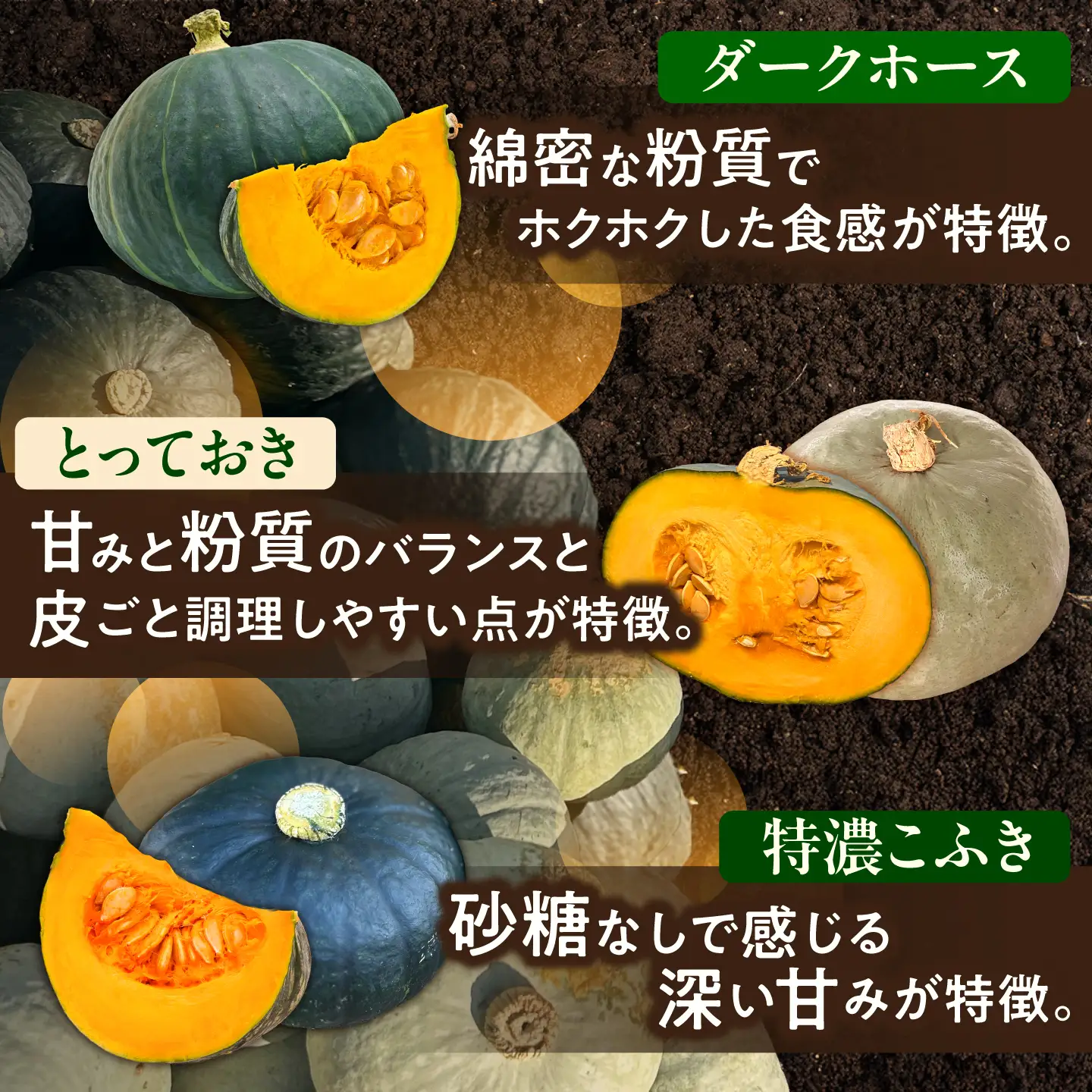 【先行予約】北海道 かぼちゃ 訳あり ダークホース・とっておき・特濃こふき 3種類×1個 【9月中旬以降発送】足寄町/足寄アグリバイオ株式会社 [BEAC014]